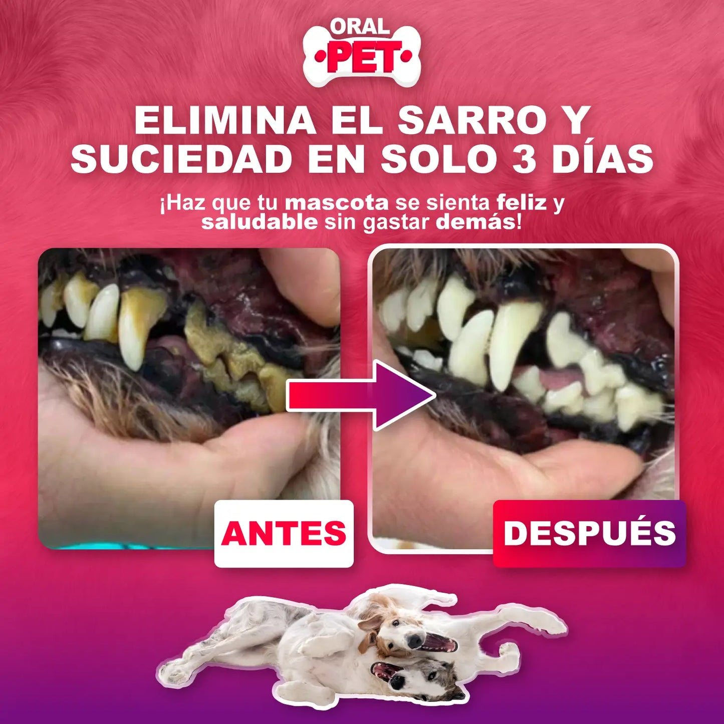 OralPet® Spray Bucal Mascotas