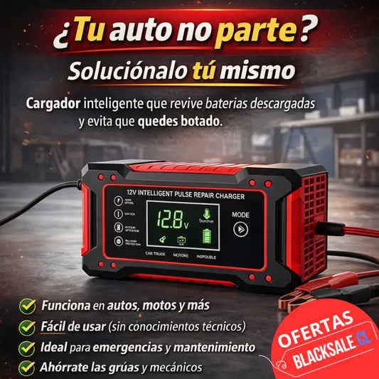 CARGADOR Y REPARADOR DE BATERÍAS